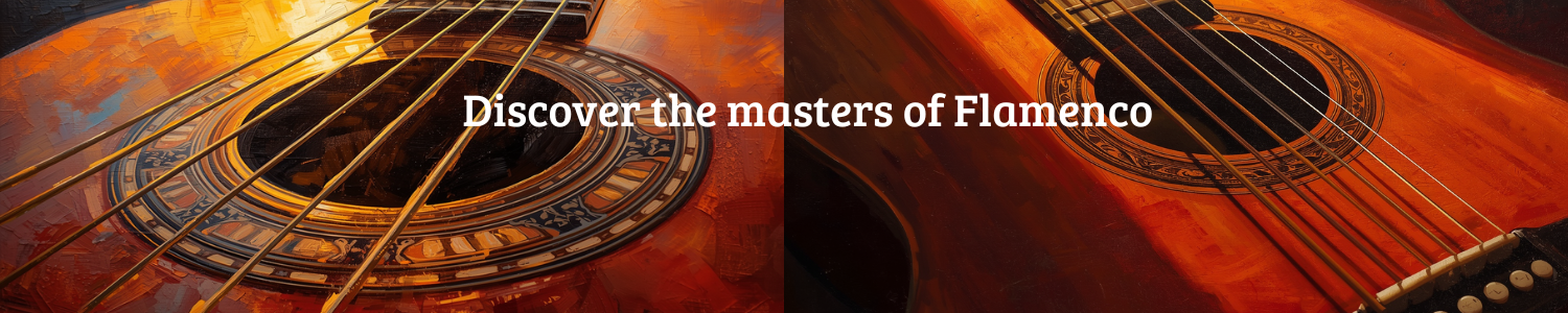 Banner Flamenco Ingles